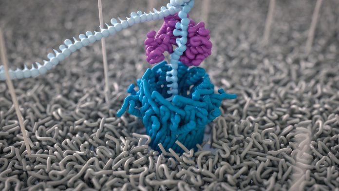 Molecular illustration of DNA passing through a nanopore in a membrane