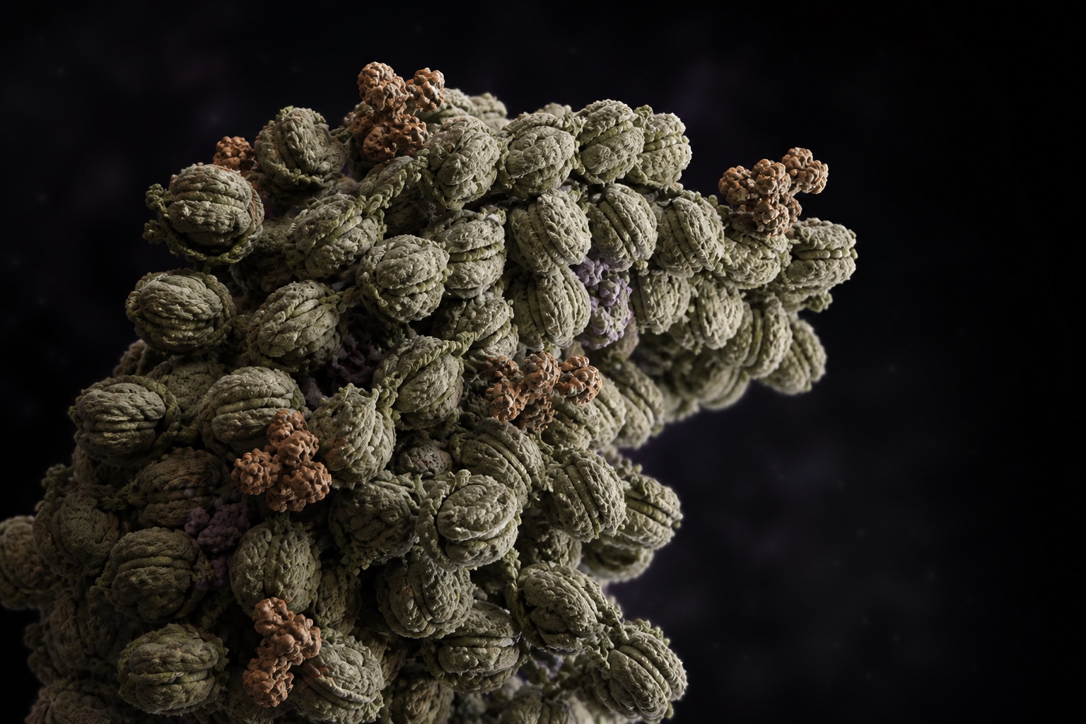 Original conceptual visualization of a compact chromatin state