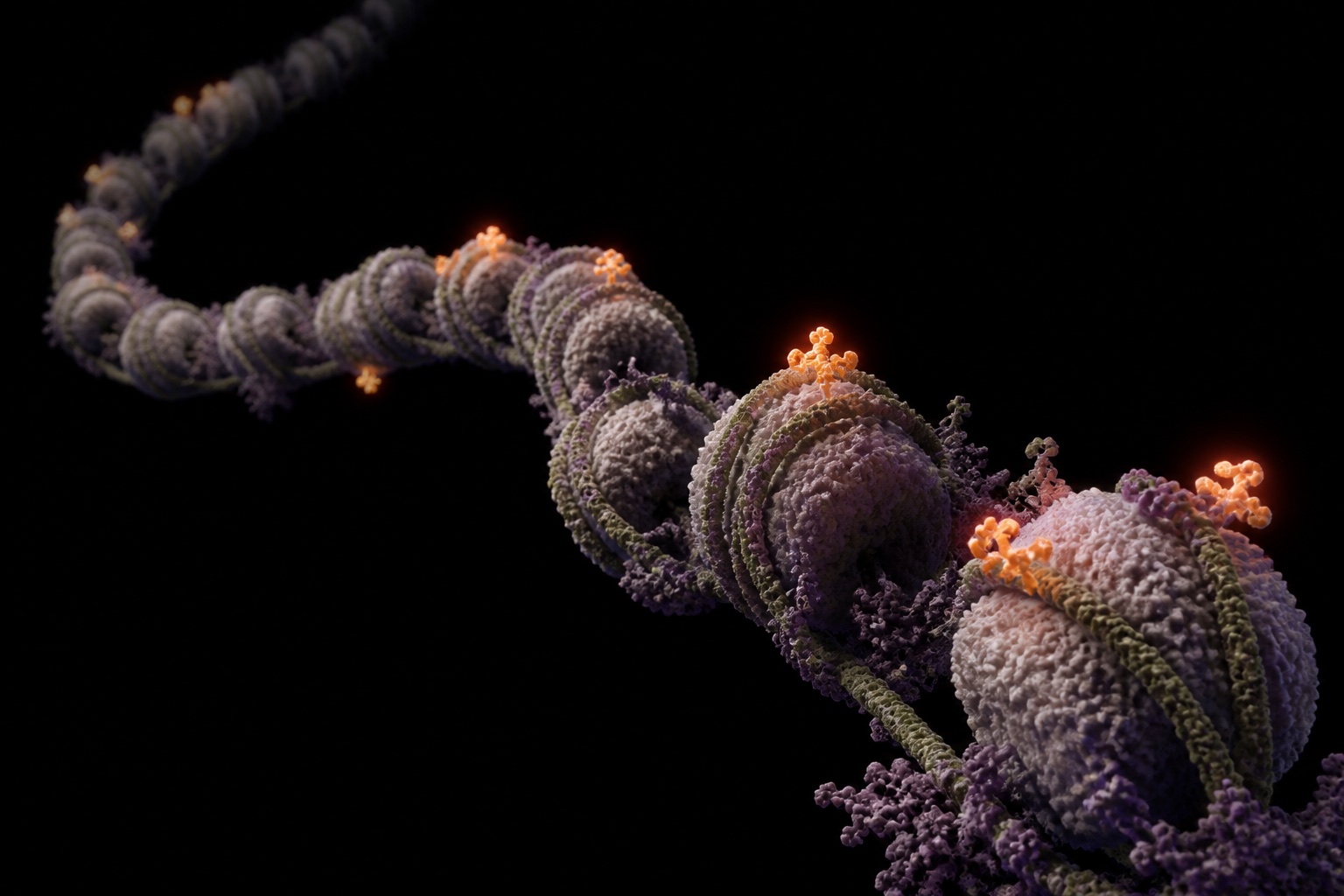 Original conceptual visualization of chromatin with selected methylation sites
