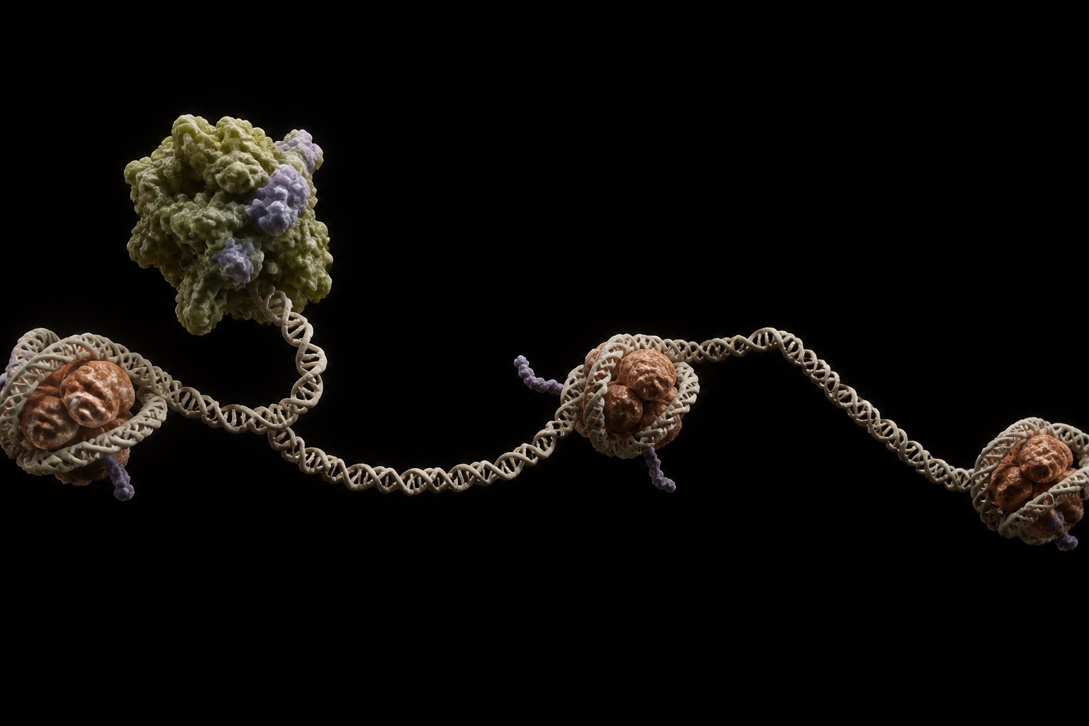 Original conceptual visualization of an open chromatin state